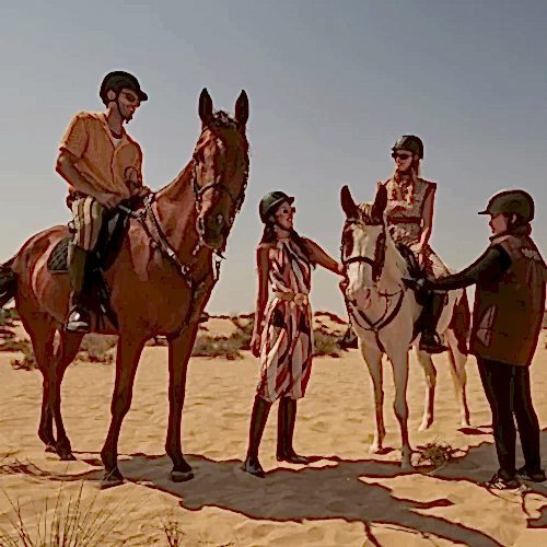 desert 3
